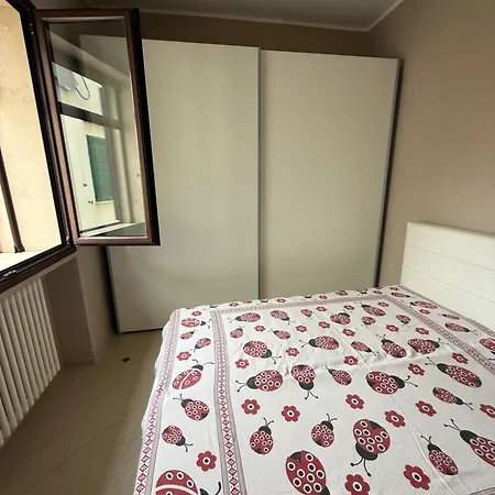 Conchiglia Regina - *